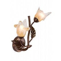 Aplica Ania 2 Lamkur