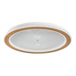 Plafoniera Zofrael 34W LED 71282 Rabalux