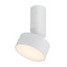 Plafoniera Ovidia Alb LED 10W 71326 Rabalux - imagine 1