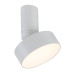 Plafoniera Ovidia Alb LED 16W 71327 Rabalux - imagine 1