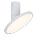 Plafoniera Ovidia Alb LED 20W 71328 Rabalux - imagine 1