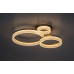 Plafoniera Gold Circle Amilia 24W LED 71383 Rabalux - imagine 2
