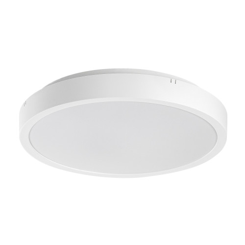 Plafoniera Alb Rotund Alenzo 12W LED 71425 Rabalux