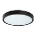 Plafoniera Negru Rotund Alenzo 12W LED 71435 Rabalux - imagine 1
