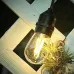 Ghirlanda luminoasa 50m 100bec IP65 exterior - imagine 2