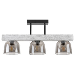 Plafoniera Cardamom 3119 Rabalux