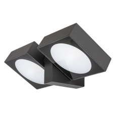 Aplica Exterior Telde LED 14W 77101 Rabalux