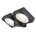 Aplica Exterior Telde LED 14W 77101 Rabalux - imagine 2