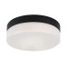 Plafoniera LED 15W Gaelo 75025 Rabalux - imagine 1