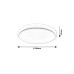 Plafoniera LED Trevor2 12W 71181 Rabalux - imagine 1