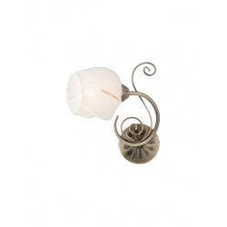 Aplica Dorothy Smarter 02-906