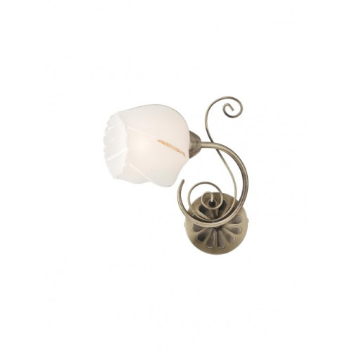 Aplica Dorothy Smarter 02-906