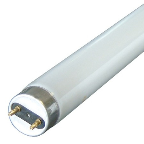 Tub neon fluorescent T8 36W 6400K