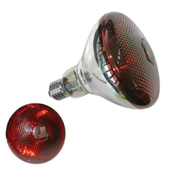 Bec incandescent infrarosu 250W E27