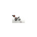 Saeco Poemia Espressor manual  HD8423/19 PHILIPS - imagine 1