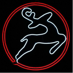 Cerb LED NEON FLEX ALB RECE(CDL) si ROSU DDN-1762 PROFI